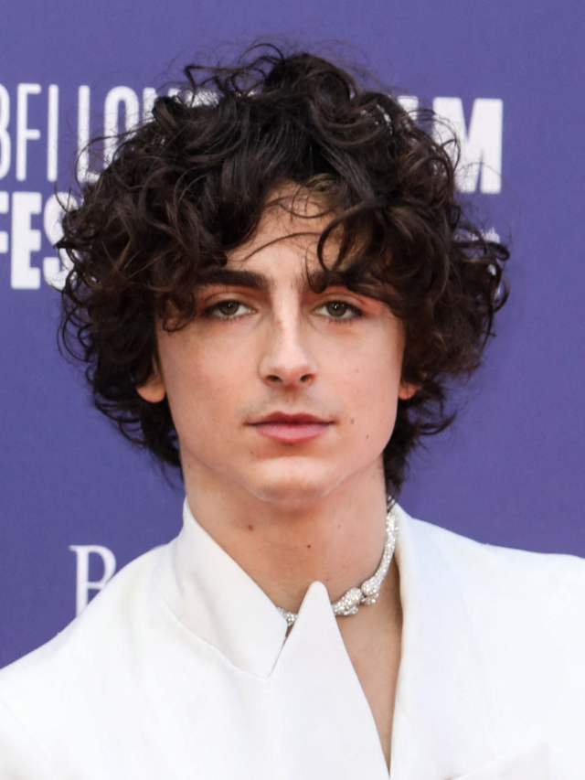 Timothee Chalamet Hollywood Heartthrob actor