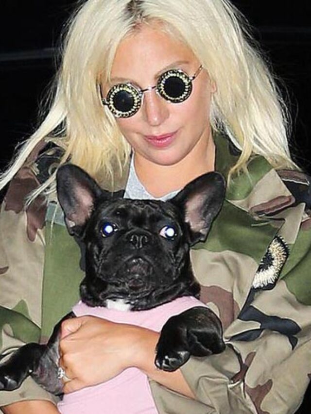 The Lady Gaga Guy Who Shot A Dog Walker Gets 21 Years